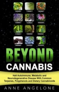 Beyond-Cannabis-4-e1460067785942